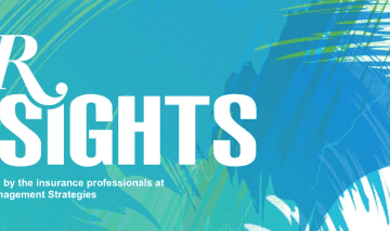 HR Insights